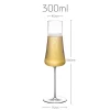 champagne-300ml